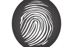 Signatum и как его майнить.